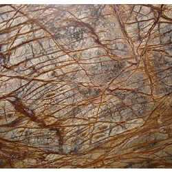 Brown Forest Marble